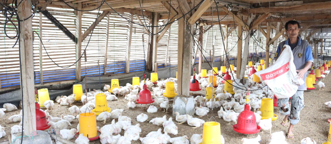 Ketua KPPU Sampaikan Rekomendasi kepada Menteri Pertanian untuk Perbaikan Usaha Peternakan Perunggasan Ayam